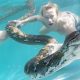 Animals In The Pool - Jake Paul Actually Wants Giant Snakes In His Swimming Pool