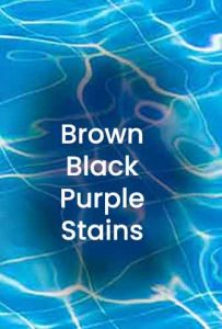Removing Pool Stains - Brown Black Purple Stains - Manganese staining