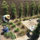 Drip Irrigation in Landscaping around the Pool Area - Grant Smith