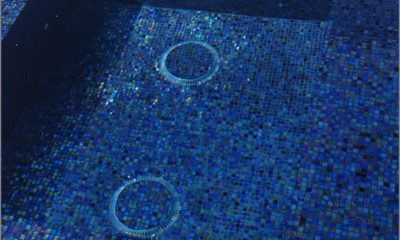 Flawed By Design - Paolo Benedetti - Swimming Pool Expert Witness