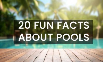 20 Fun Facts About Swimming Pools