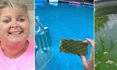 Myth - Magic Erasers Dont Stop Algae From Forming In Your Pool