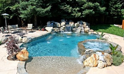 How to Deal With Nutgrass Problem around Swimming Pools