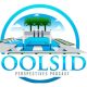 Poolside-Perspectives-Logo