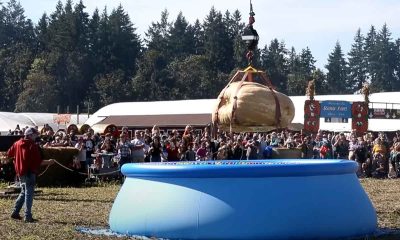 Annual Pumpkin Drop Makes a Splash in Oregon