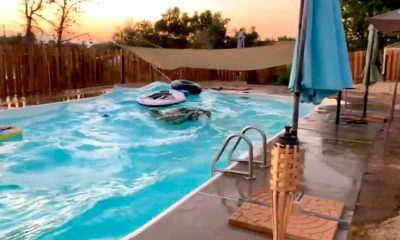 Pools Versus Earthquakes: Viral Video Caught on Camera