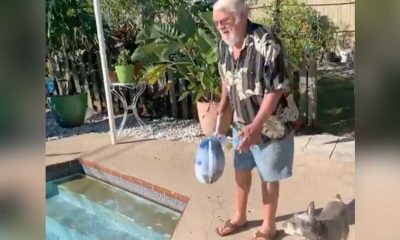 Clearwater Man Thaws Turkey in Pool