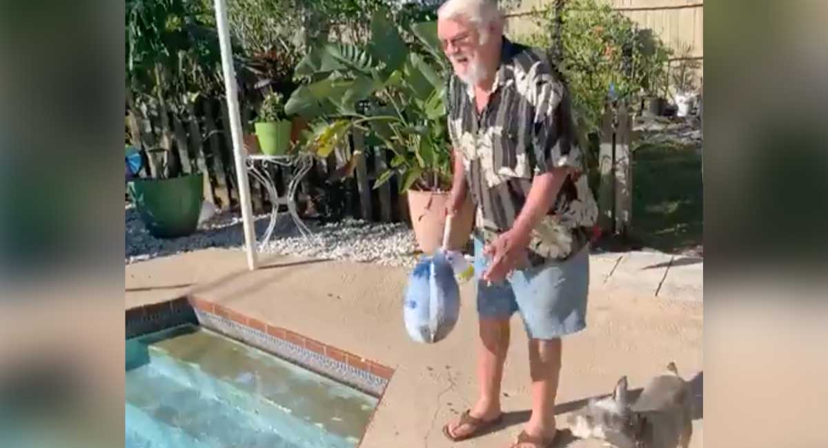 Clearwater Man Thaws Turkey in Pool